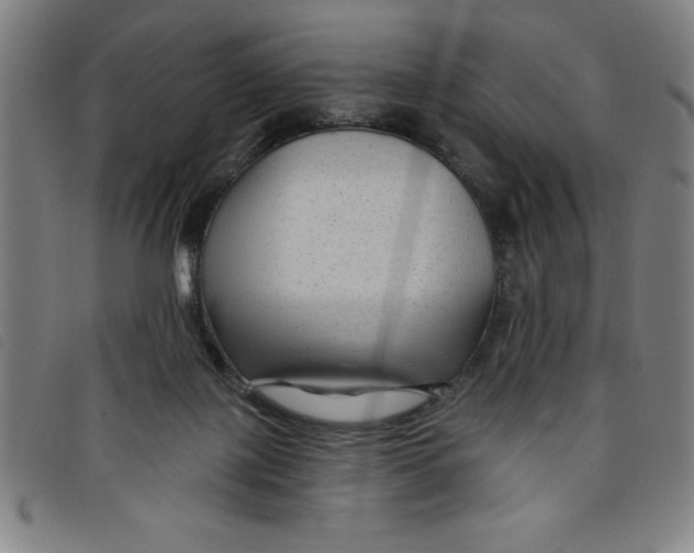 X0000097870075200804041600