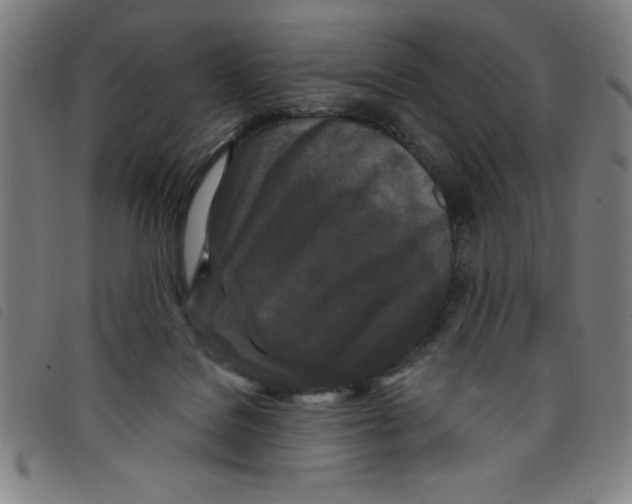X0000097870076200804041600