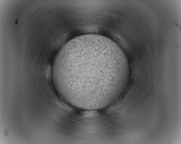 X0000097870077200804041600