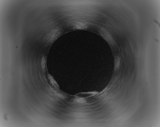 X0000097870078200804041600