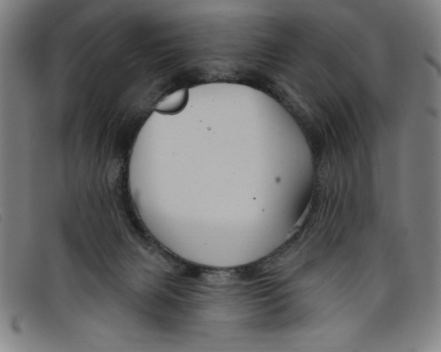 X0000097870079200804041600