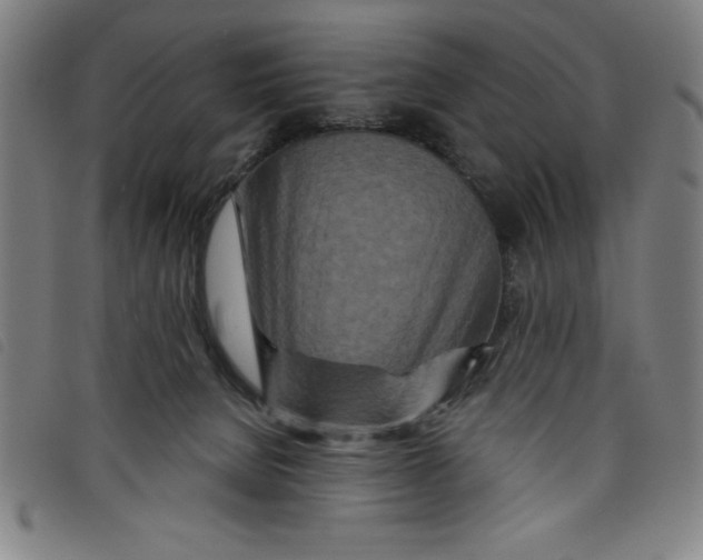 X0000097870080200804041600
