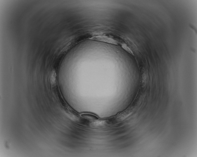 X0000097870081200804041600