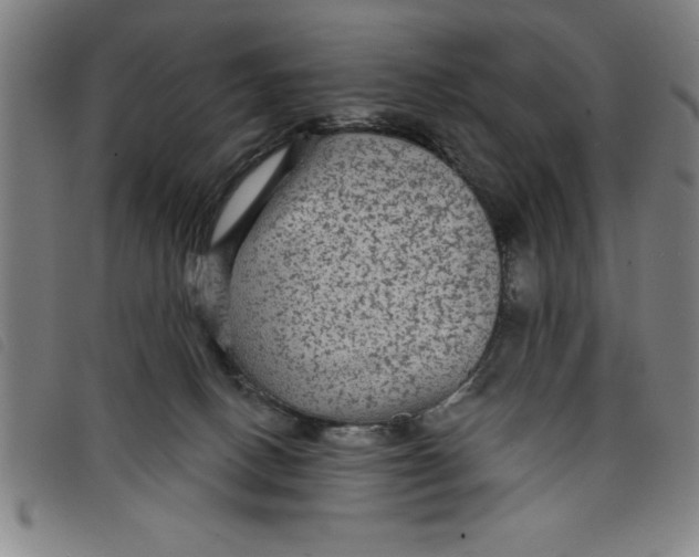X0000097870082200804041600