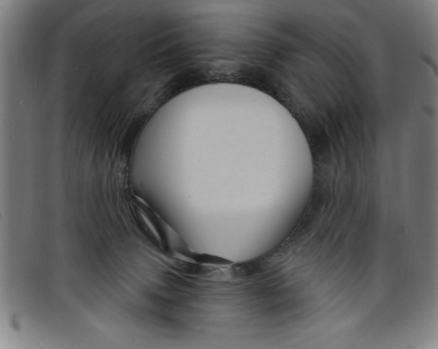 X0000097870083200804041600