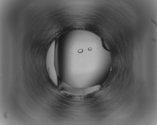 X0000097870084200804041600
