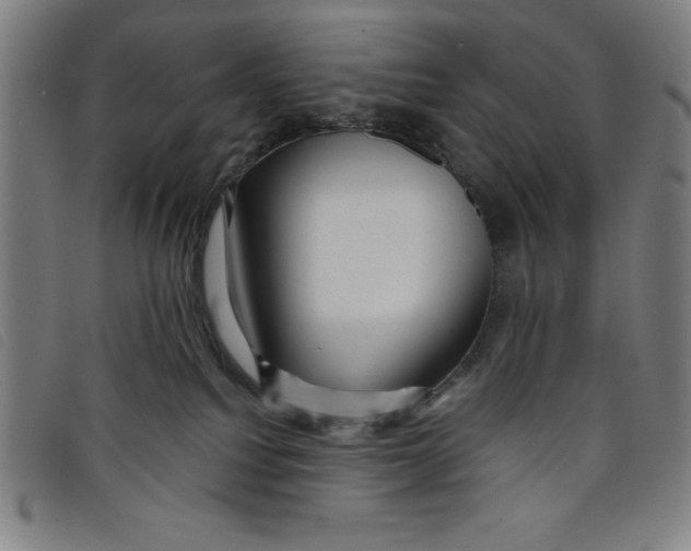 X0000097870088200804041601