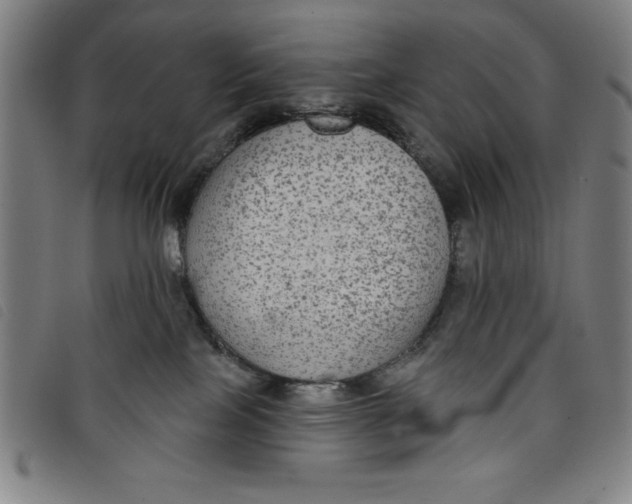 X0000097870089200804041601