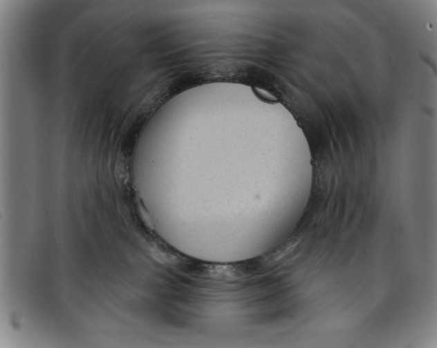 X0000097870091200804041601