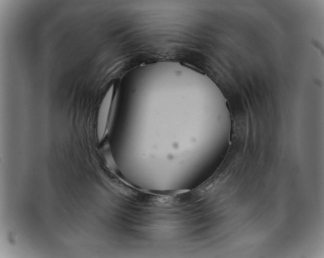 X0000097870092200804041601