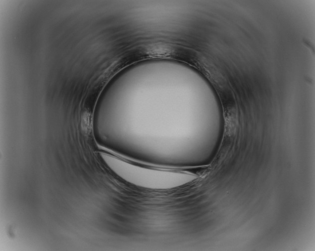X0000097870093200804041601