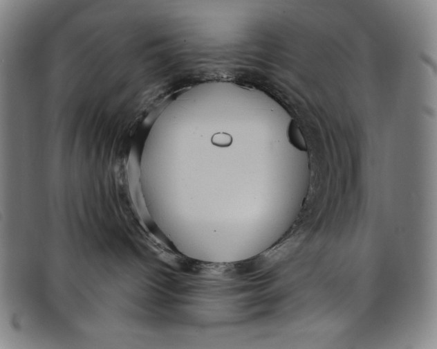 X0000097870096200804041601