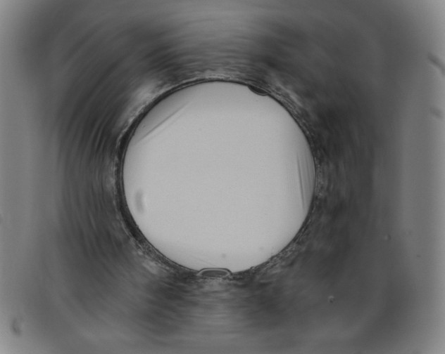 X0000097870098200804041600
