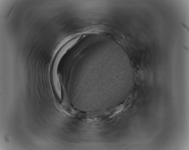 X0000097870100200804041600