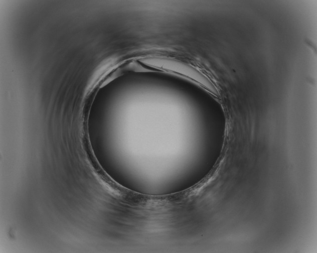 X0000097870101200804041600