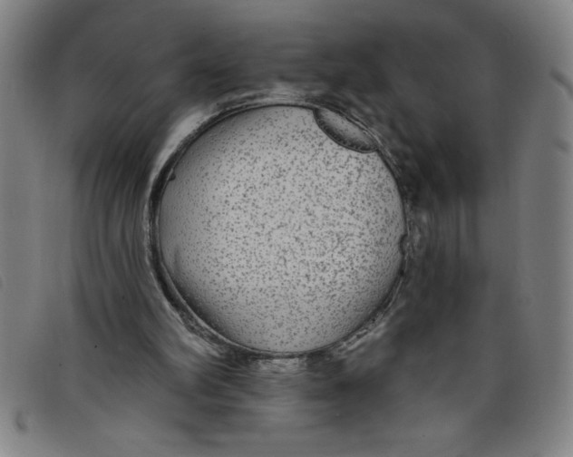 X0000097870102200804041600