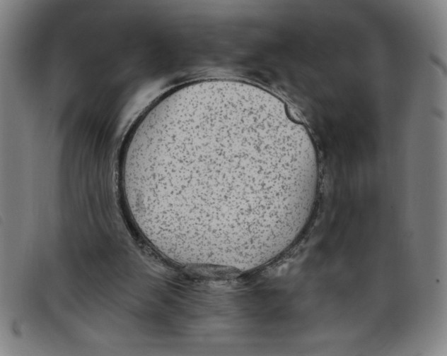 X0000097870103200804041600