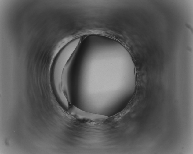 X0000097870104200804041600