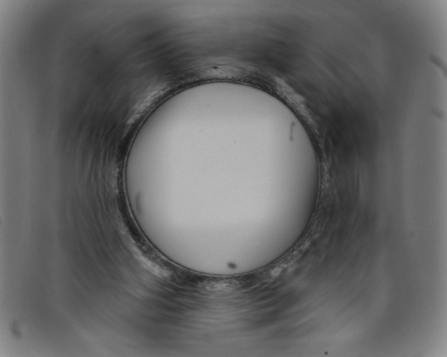 X0000097870106200804041600