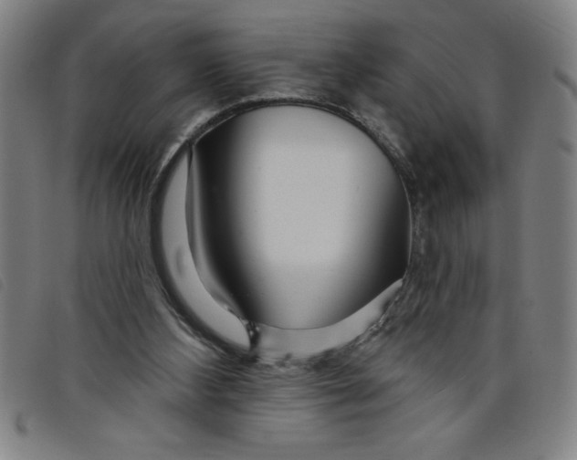 X0000097870108200804041600