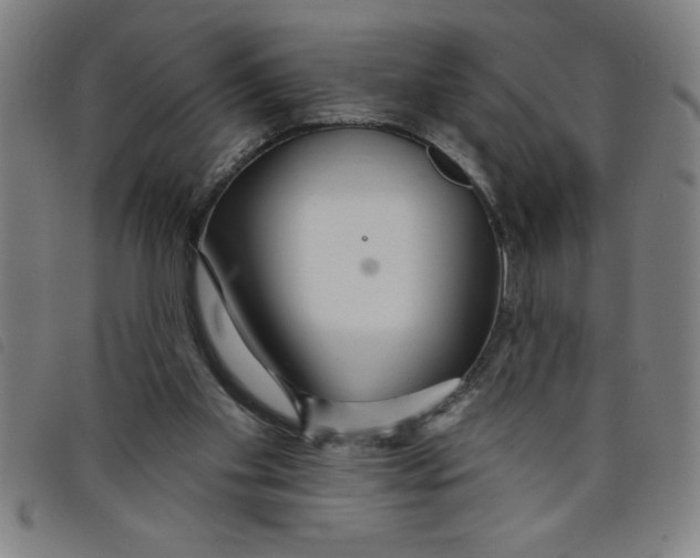 X0000097870109200804041600