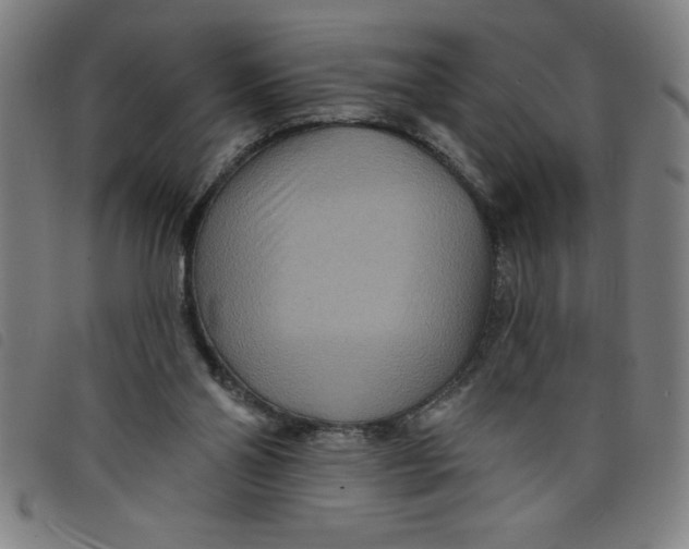 X0000097870110200804041600