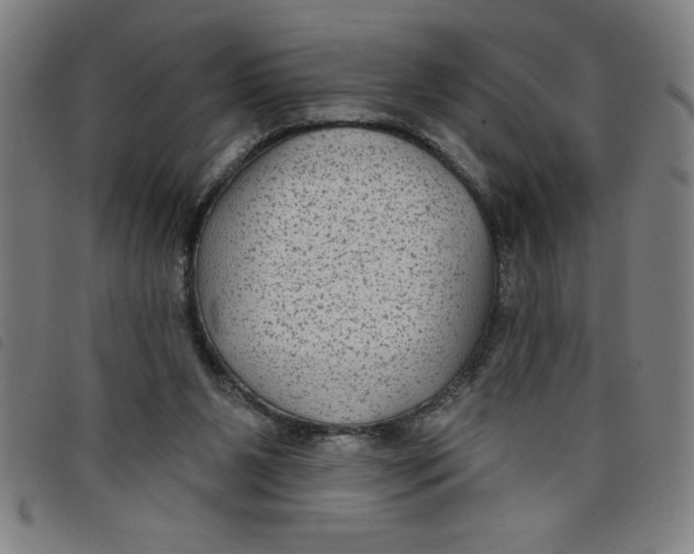 X0000097870111200804041600