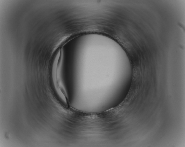 X0000097870112200804041600