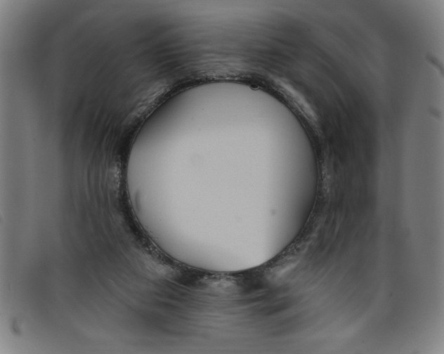 X0000097870113200804041600