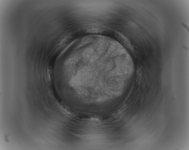 X0000097870114200804041559