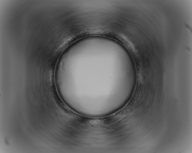 X0000097870115200804041559