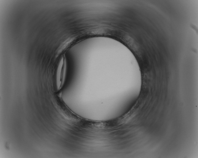 X0000097870116200804041559