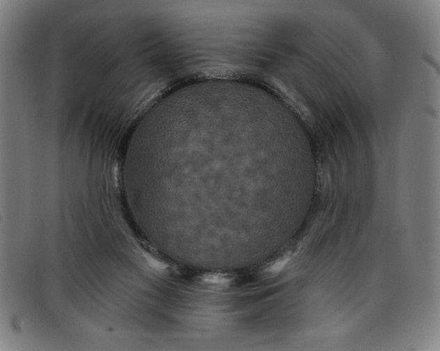 X0000097870117200804041559