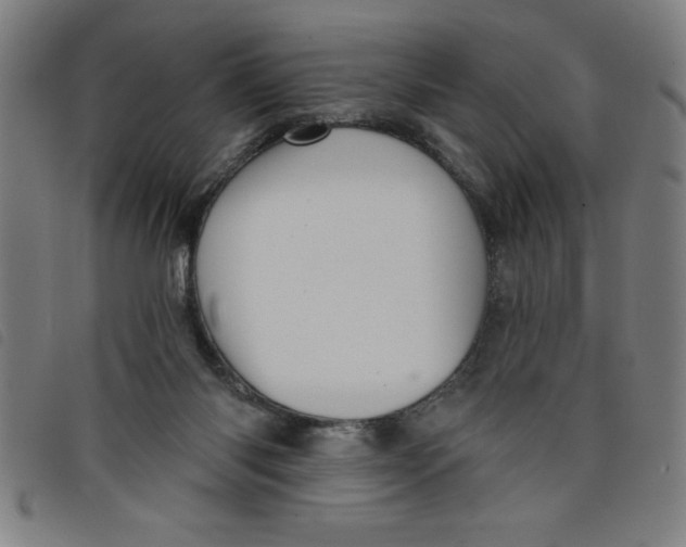 X0000097870118200804041559