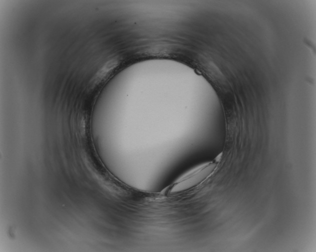 X0000097870120200804041559
