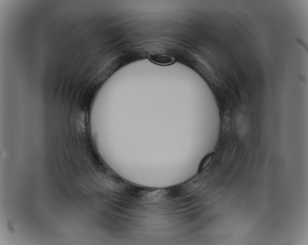 X0000097870122200804041559