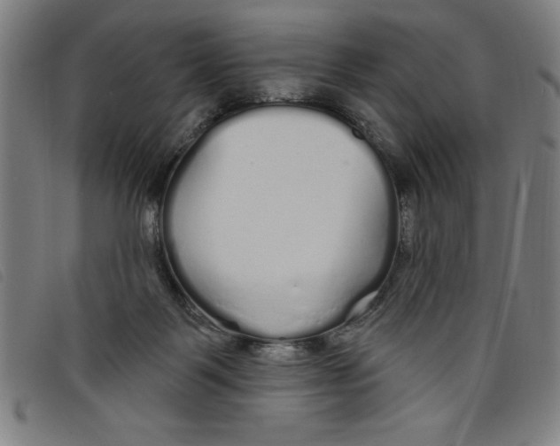 X0000097870123200804041559
