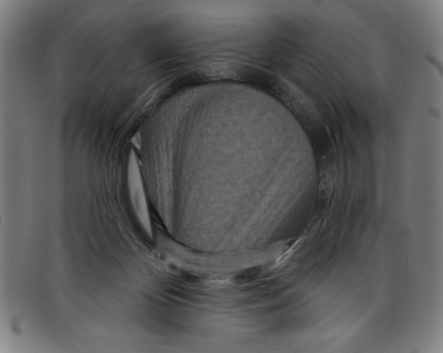 X0000097870124200804041559