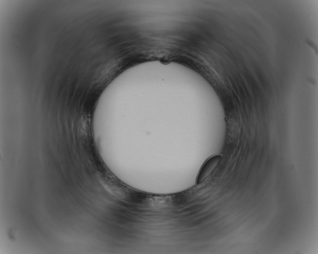 X0000097870126200804041559
