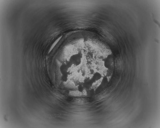 X0000097870127200804041559