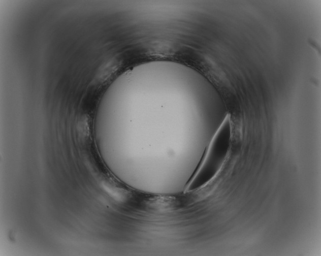 X0000097870128200804041559