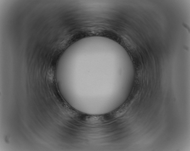 X0000097870129200804041559