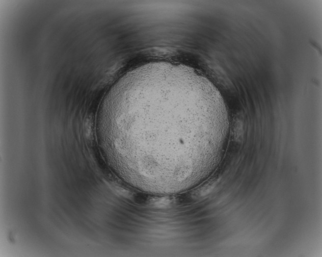 X0000097870131200804041559