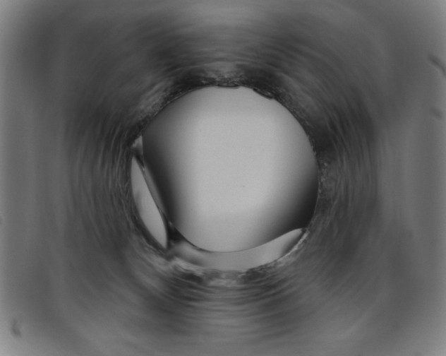 X0000097870132200804041559