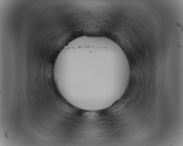 X0000097870133200804041559