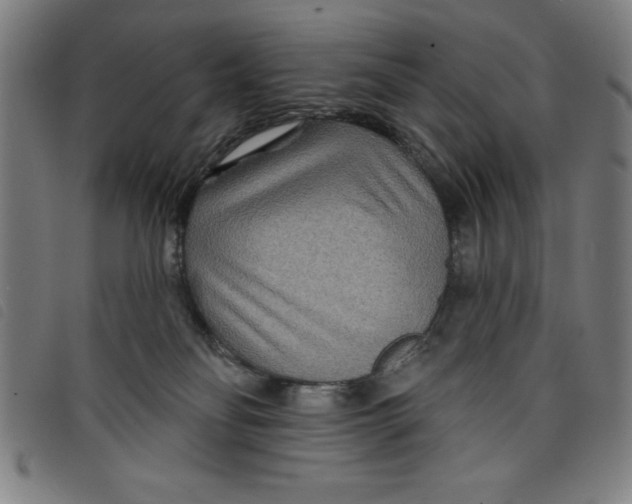 X0000097870134200804041559