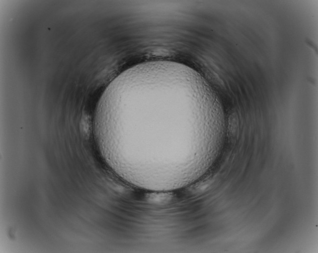 X0000097870135200804041559