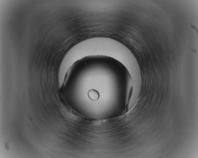X0000097870136200804041559
