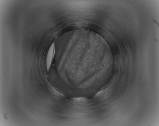 X0000097870137200804041559