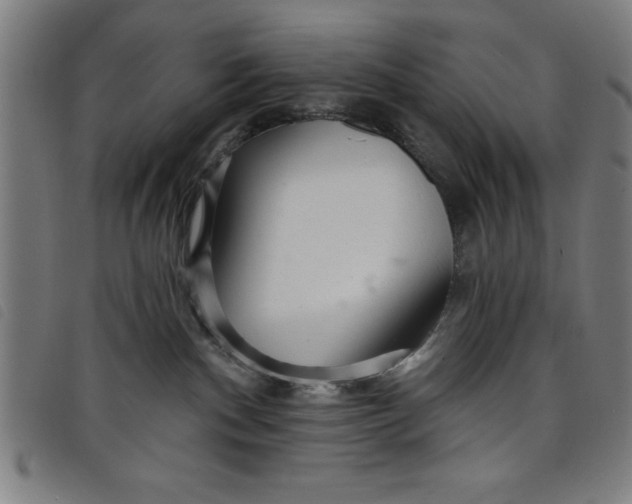 X0000097870140200804041559